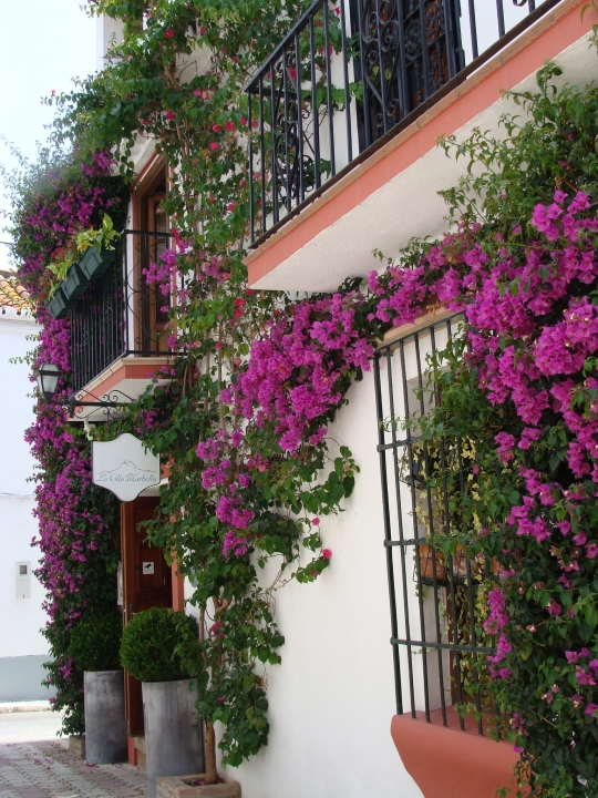 Hotel La Villa Marbella