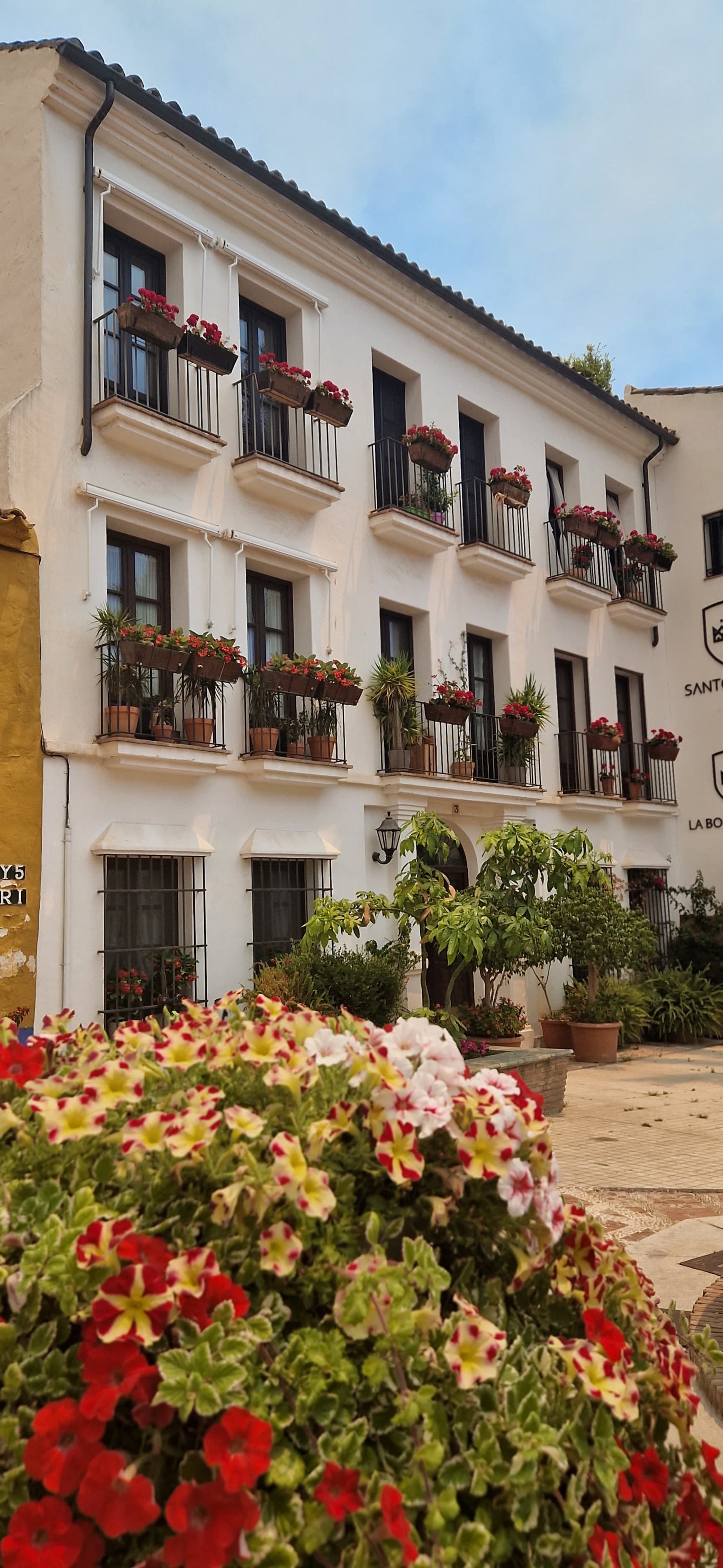 Whitewashed three-storey townhouse in Marbella's Casco Antiguo with iron balconies and red flower boxes