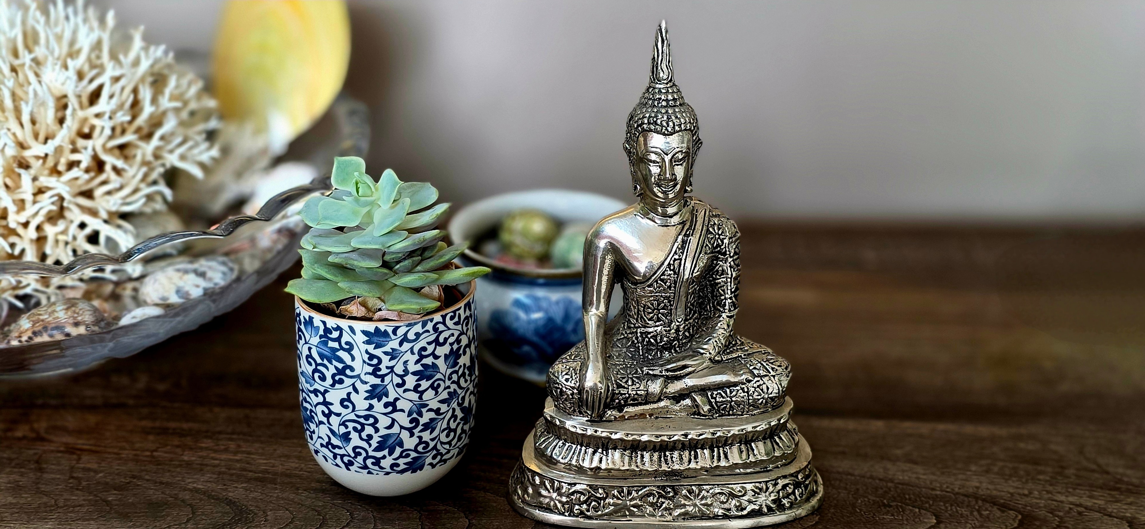 A silver Buddha figure beside blue-and-white porcelain, coral and a succulent on dark wood